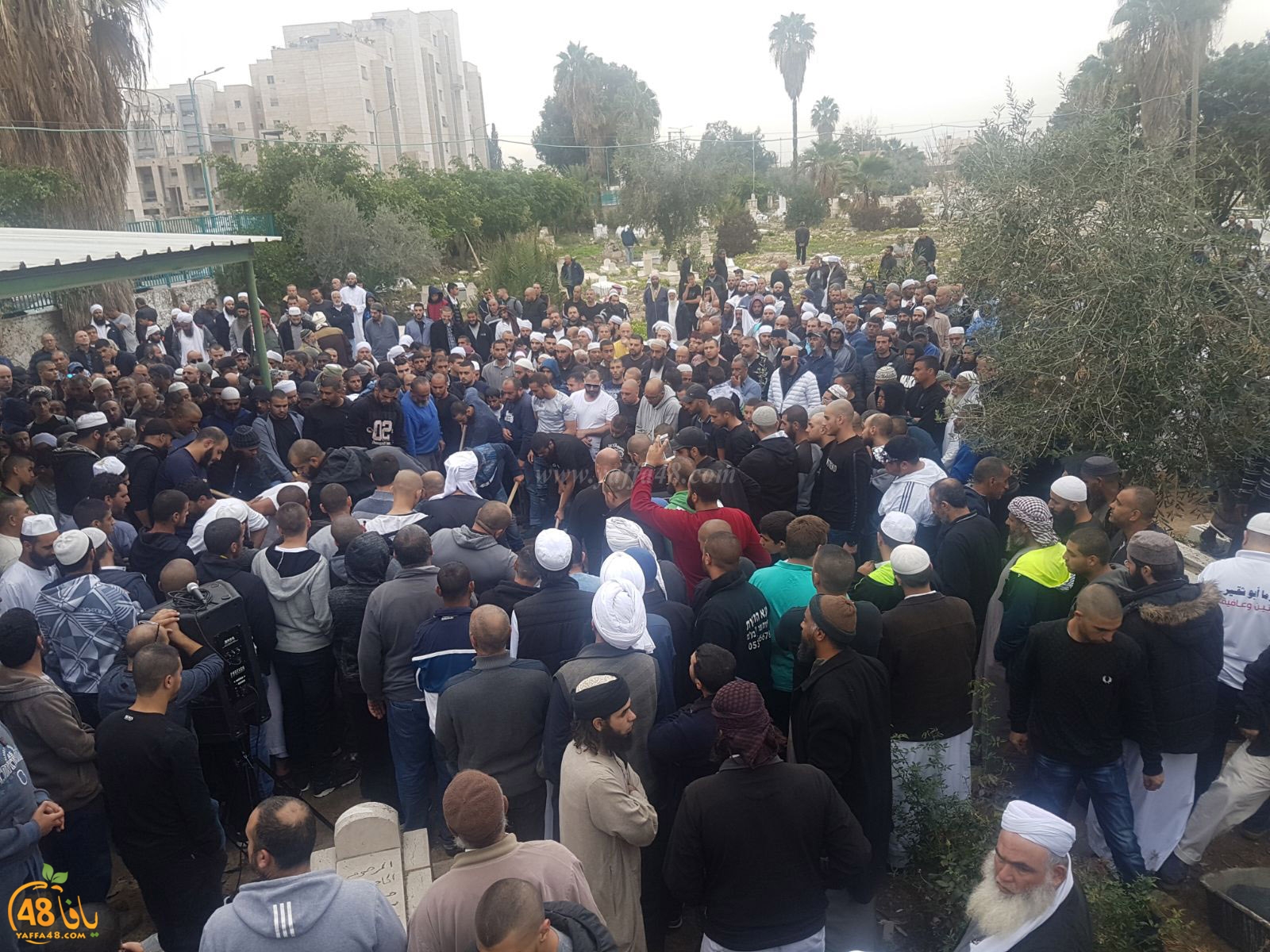 tasheeye3 om mhmoud (9).jpg